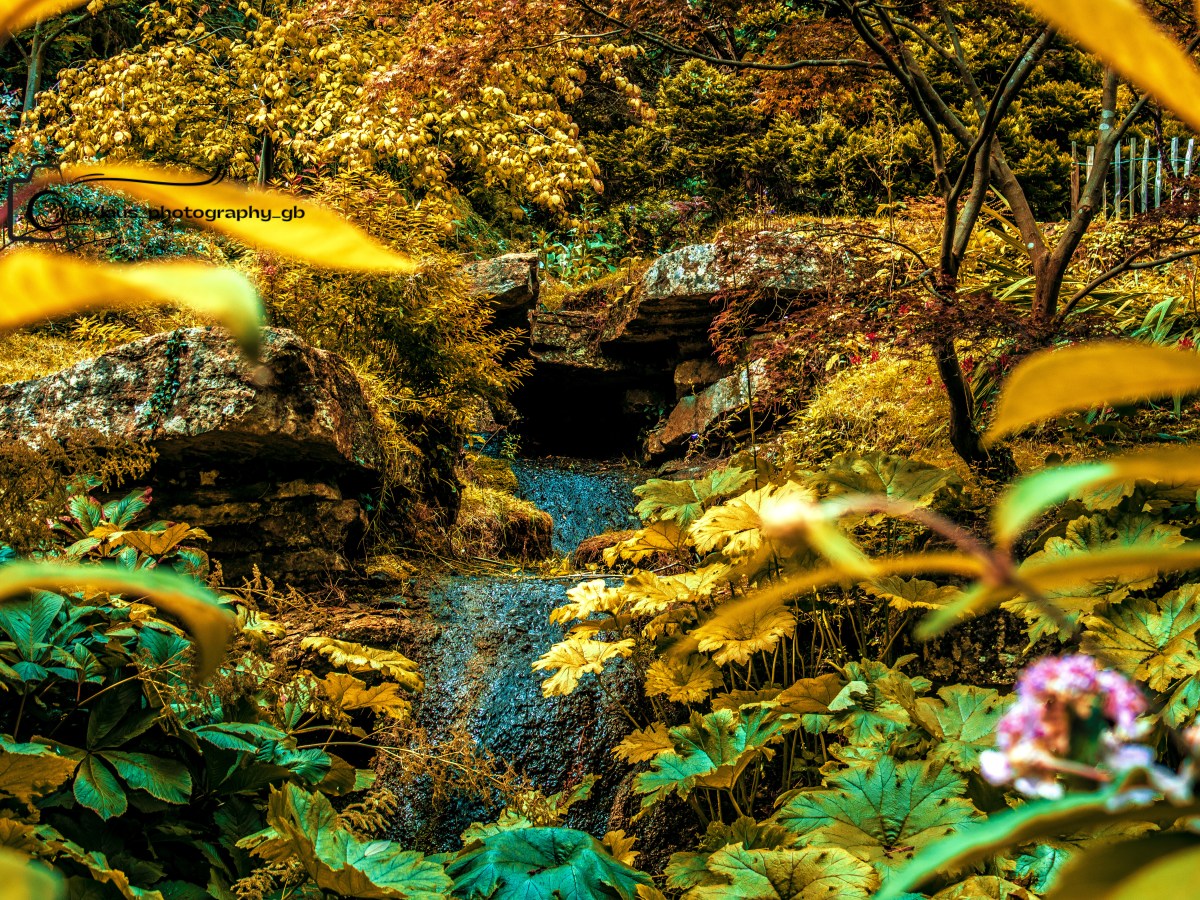 Captivating Tranquillity: A Rainy Day Adventure at Batsford&nbsp;Arboretum