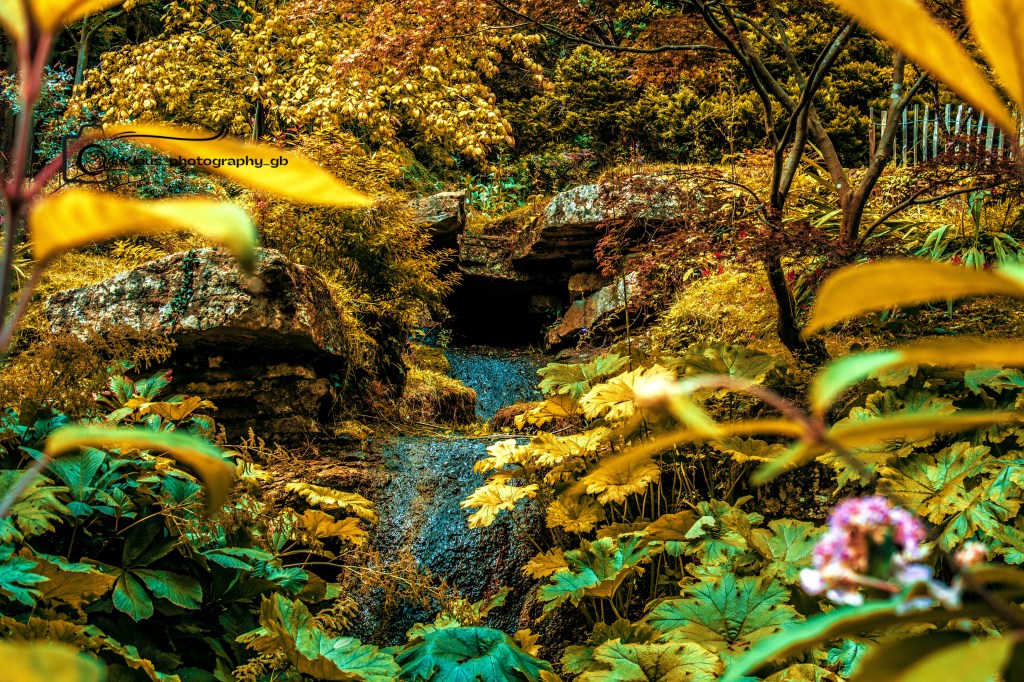 Captivating Tranquillity: A Rainy Day Adventure at Batsford Arboretum